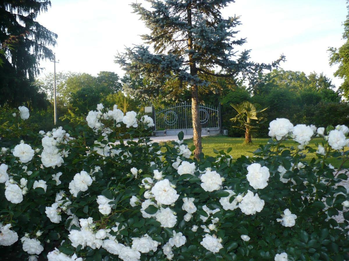 L'Albero Della Gioia Bed & Breakfast Villanova sull'Arda ภายนอก รูปภาพ
