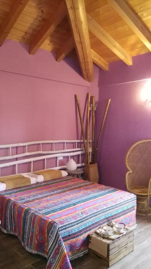L'Albero Della Gioia Bed & Breakfast Villanova sull'Arda ภายนอก รูปภาพ