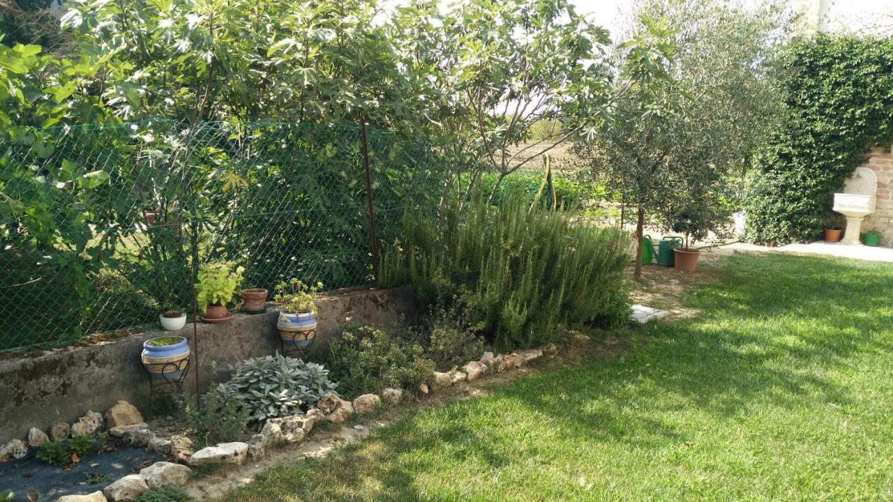 L'Albero Della Gioia Bed & Breakfast Villanova sull'Arda ภายนอก รูปภาพ